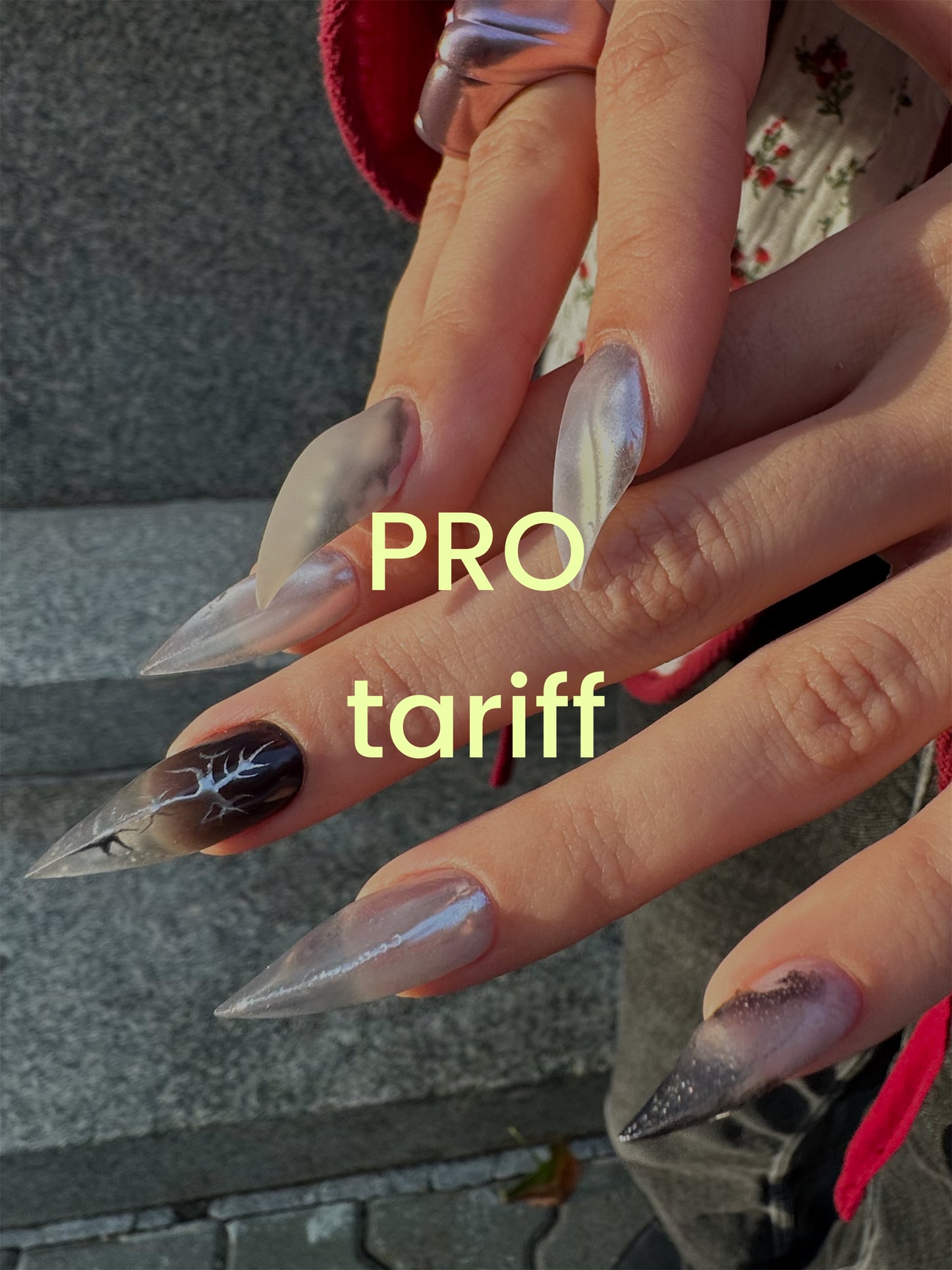 Cat Claws online course